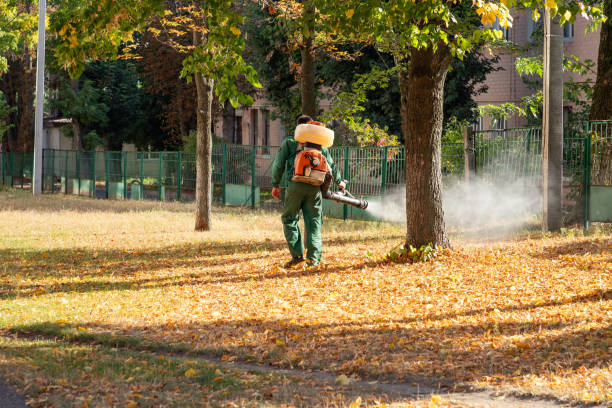 Professional Pest Control in Roosevelt Gardens, FL
