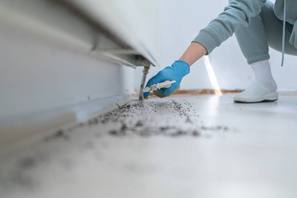 Pest Prevention Services in Roosevelt Gardens, FL